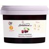 Dolcincasa.com Pasta Gelato Amarena 200 Gr ottimo impiego in Gelateria e Pasticceria