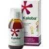 Schwabe Pharma Kaloba Sciroppo Farmaco Per Curare Le Malattie Da Raffreddamento In Adulti e Bambini 100 Ml