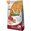 Farmina Dog N&D Ancestral Grain Adult Medium Maxi Pollo e Melograno - Sacco Da 12 Kg
