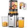 AMZCHEF Estrattore di Succo a Freddo, 158 mm Bocca Larga per Frutta e Verdura Intera, 2.5 L, Facile da Pulire, 2 Filtri per Succo e Gelato, per Famiglie, Genitori e Colazione