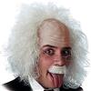 Parrucca Einstein C/Calotta In Lattice Occhiali E Baffi In Busta Carnival Toys