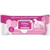 Inodorina Salviette Everyday Aloe Vera 110pz