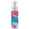Inodorina Shampoo a Secco Mousse Profumo Talco 250ml