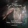 52733 Olafur Arnalds - Falling Apart Together
