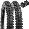 YunSCM 2 confezioni 60TPI copertoni 16x2.40 ETRTO 64-305 Camera d'aria AV32mm compatibile 60/64-305 16x2.35 16x2.40 16x2.45 pneumatici
