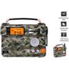 Silva Schneider SOS 223 BT, portatile, analogico, FM, 87,5 - 108 MHz, 1,5 W, LCD