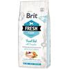Brit Fresh Adult Large Pesce con Zucca per Cani - Sacco da 12 kg