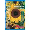 Semi fiori Girasole gigante