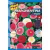Semi fiori Margheritina doppia