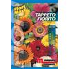 Semi fiori Tappeto fiorito
