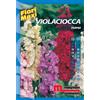 Semi fiori Violaciocca nana