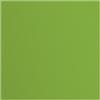 Vaessen Creative Florence Cardstock-20 Fogli Quadrati, 216 g/m², 30,5 x 30,5 cm, per Scrapbooking, creazione di Biglietti, punzonatura e Altri lavori, Carta, Verde, 30.5x30.5cm