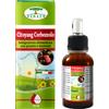 RENACO ITALIA R.I. GROUP Srl Citoyang corbezzolo gocce 50 ml - CITOYANG - 934762497