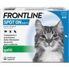 Boehringer Ing. Anim. H. It. Frontline Spot On Gatti