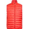 TOMMY HILFIGER - Smanicati - Rosso pomodoro