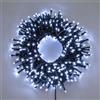 Lotti Catena nastro MiniCluster 2000 LED Bianco Freddo 40,5 m. IP44