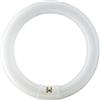 Elettro Star Kit da 4 Circoline 32W Tubo Circolare T9, Luce Calda 827, 2100 Lumen