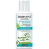 ZUCCARI Srl Detergente Intimo Ultradelicato - Zuccari - Flacone da 250 ml - Detergente intimo ad azione lenitiva e protettiva grazie alla base di pura Aloe