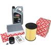 Febi Bilstein Kit Ispezione 1,4 + 1,6 16V Ford Focus Inkl 5L 5W30 Motorcraft Öl 53366123
