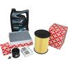 Kit Ispezione 1,4 1,6 16V Ford Focus Inclusi 5 L 5W30 Wolf Motoröl