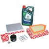 Febi Bilstein Kit Ispezione Ford Fiesta 1,0 EcoBoost Inkl. 5 Liter Olio Castrol 5W20 51888222