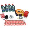 Febi Bilstein Kit Ispezione 1,1 Ford Fiesta Inkl. 4 Litri 5W30 Castrol Olio Motore 57111666