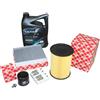 Kit Ispezione 1,4 + 1,6 16V Ford Focus Inkl. 5W20 Wolf Motoröl Filter 5 Litri