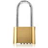 Sonew Lucchetto antifurto, lucchetto a combinazione grande in ottone con password a 4 cifre inferiore e gancio di blocco esteso per porte e finestre con chiusura a chiave, porte del cortile, porte del magaz
