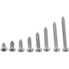Hilitand 200 Pcs M3 Viti autofilettanti in SS 304 acciaio inox, Kit viti a chiodo viti filettate in legno