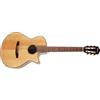 Ibanez AEG50N Natural