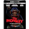 Decal - Neon The Monkey (4K UHD Blu-ray) Christian Convery Colin O'Brien Tatiana Maslany