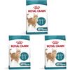 ROYAL CANIN AGEING 11+ | Confezione da 3 | 3 x 400 g | Cibo secco per gatti senior a partire dagli 11 anni | Formula con HealthyAge7™ Complex | Contiene crocchette facili da masticare