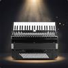 Fisarmonica a Piano Lucida Fisarmonica 120 Bassi Professionale per Principianti