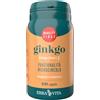 ERBA VITA GROUP SPA GINKGO BILOBA 60 Cps 350mgEBV