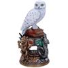 Nemesis Now NMSB6148W2 Statuetta Edvige Harry Potter 22 cm