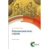 Ali Eftekhari Polymerized Ionic Liquids (Copertina rigida)