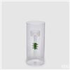 EDG Enzo De Gasperi Portacandela Cilindro Pino di Natale H 20 Cm D 9 Cm Green