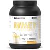 Skill Nutrition Whey Protein Powder 700 grams - Vanilla Milkshake
