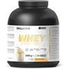 Skill Nutrition Whey Protein Powder 2000 grams - Vanilla Milkshake