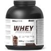 Skill Nutrition Whey Protein Powder 2000 grams - Chocolate Milkshake