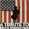 V/A Tribute To Bruce Springsteen (Vinyl LP)