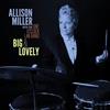 One O'Clock Lab Band Allison Miller Big & Lovely (CD)