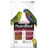 Versele-Laga NutriBird B14 Mantenimento Estruso Ondulati e Piccoli Parrocchetti - Versele-Laga - NutriBird B14 Mantenimento Estruso Ondulati e Piccoli Parrocchetti - 800GR