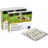 CIAM NEW ARTOSALUS ORME NAT 60CPR VET