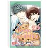 Carlsen Manga Junjo Romantica 26: Die beliebte Boys-Love-Soap-Opera