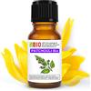 Laborbio Patchouli Bio Olio essenziale 100% Puro 5 ml - Uso interno Terapeutico Alimentare Diffusori Aromaterapia Cosmetica Cucina - Laborbio