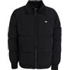 DICKIES OVERBROOK EISENHOWER PUFFER - Piumino - Nero