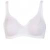 GIOS Reggiseno Preformato Leggero in Lycra Senza Ferretto Art. Perfetto (2pz) - 6, Bianco