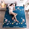 hxoity Materasso Futon Ultra Sottile Poliestere Pieghevole Tatami Tappeto Pavimento Pelle Amica Spazzolato Tutte Stagioni Portatile Dormitorio Studenti Cartoon Morbido Antiscivolo Poltrona Letto Traspirante