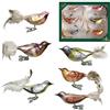 Krebs Glas Lauscha - Decorazione natalizia/decorazioni per albero di Natale in vetro - Set di uccelli invernali - Uccelli su clip in vetro - Contenuto: 6 pezzi - Dimensioni: circa 11 cm
